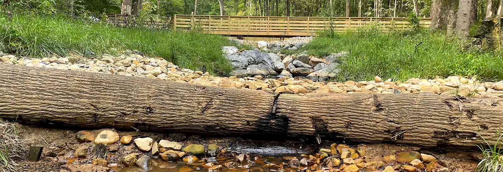 SMC-Woodend-Sanctuary-Stream-Restoration-Log